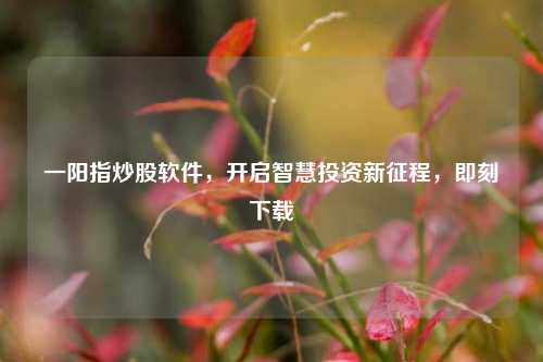 一阳指炒股软件,开启智慧投资新征程,即刻下载