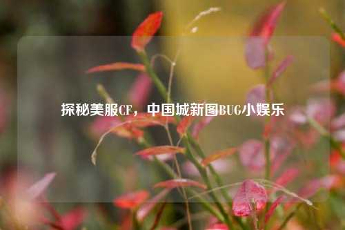 探秘美服CF,中国城新图BUG小娱乐
