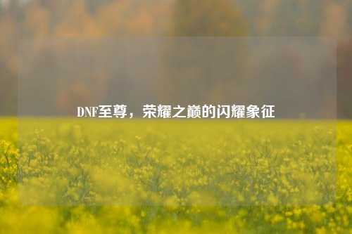 DNF至尊,荣耀之巅的闪耀象征