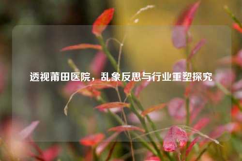 透视莆田医院,乱象反思与行业重塑探究
